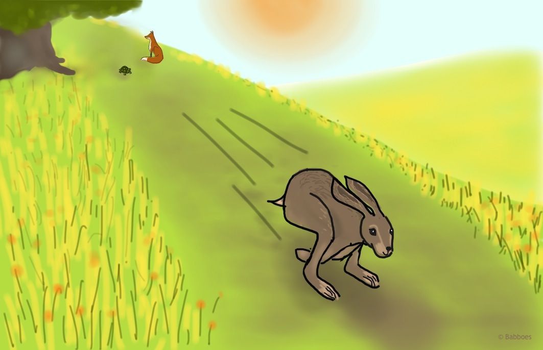 Verhalenverteller Babboes - Haas en Schildpad